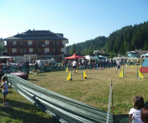 FOLGARIA (TN) - Hotel Cristallo